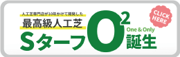 SターフO2-LP画像